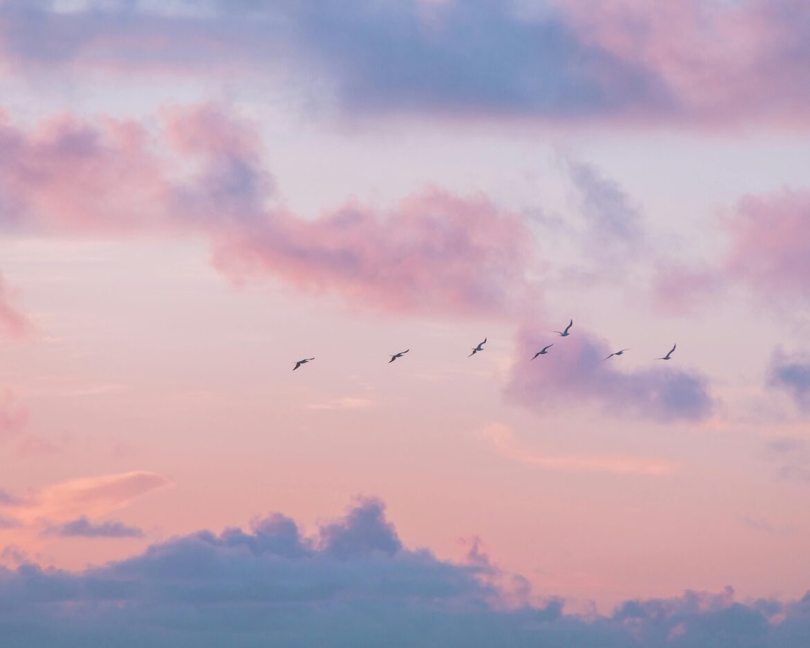 A sky captured in the stage of twilight, just as one bright day transitions into a quiet night. It symbolizes nature's pause in which realignment happens with a beautiful new day to look forward to.
